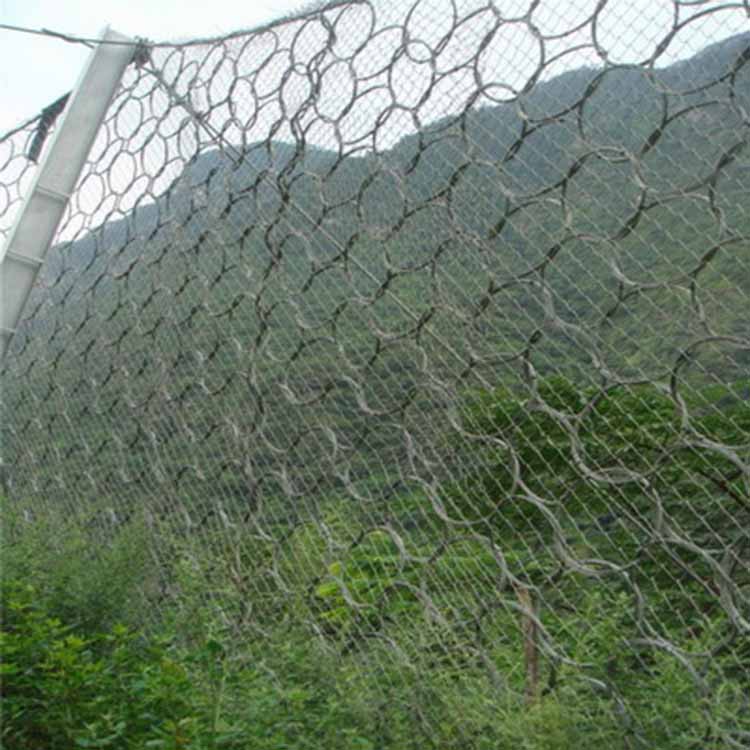 平陽生態(tài)綠化被動(dòng)網(wǎng) 愛喇叭網(wǎng).jpg 平陽生態(tài)綠化被動(dòng)網(wǎng) 愛喇叭網(wǎng).jpg